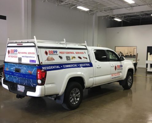 Pickup Truck Wrap for BBPP